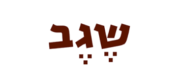 לוגו של שגב